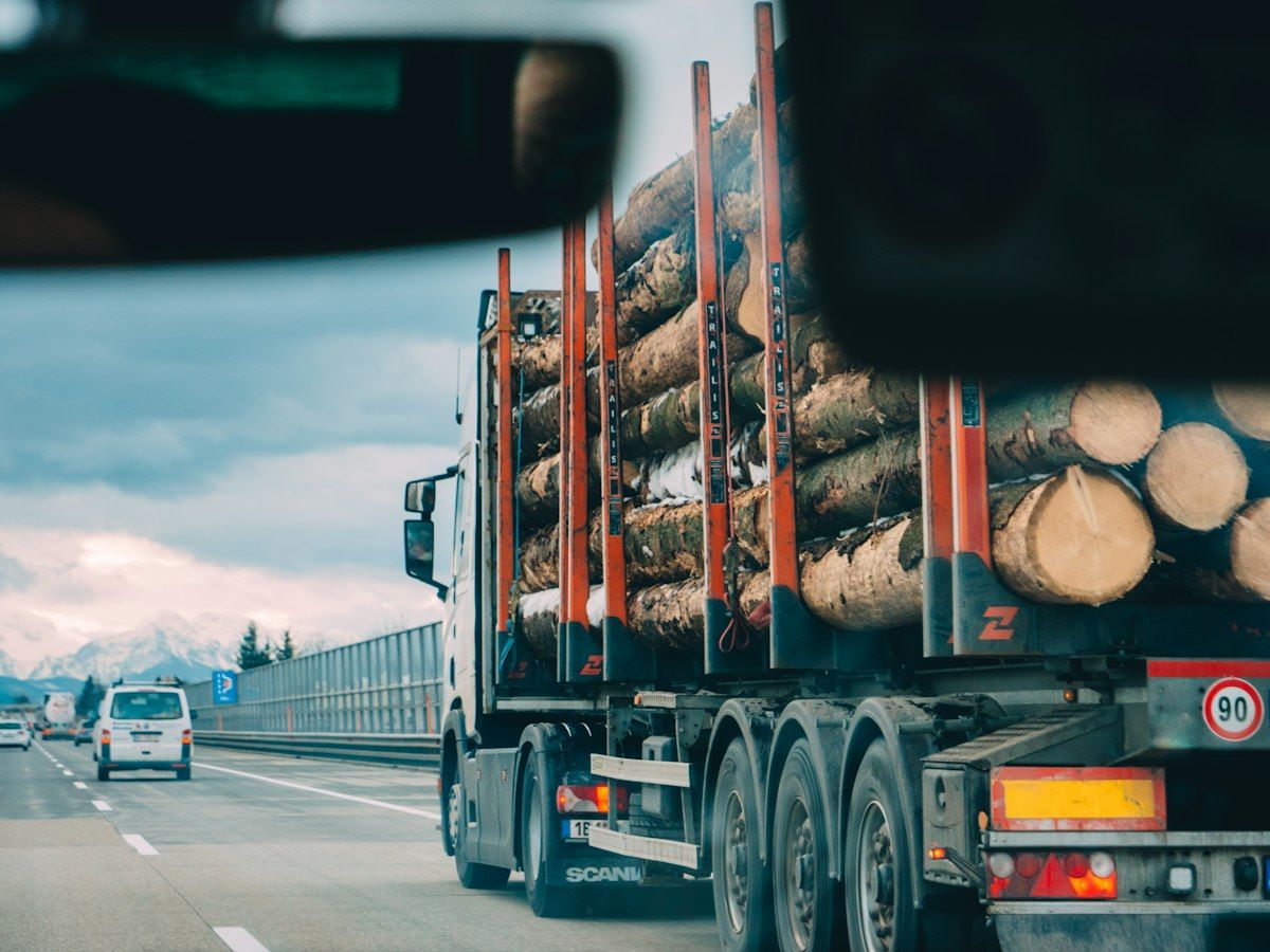 Camión cargado de madera en carretera